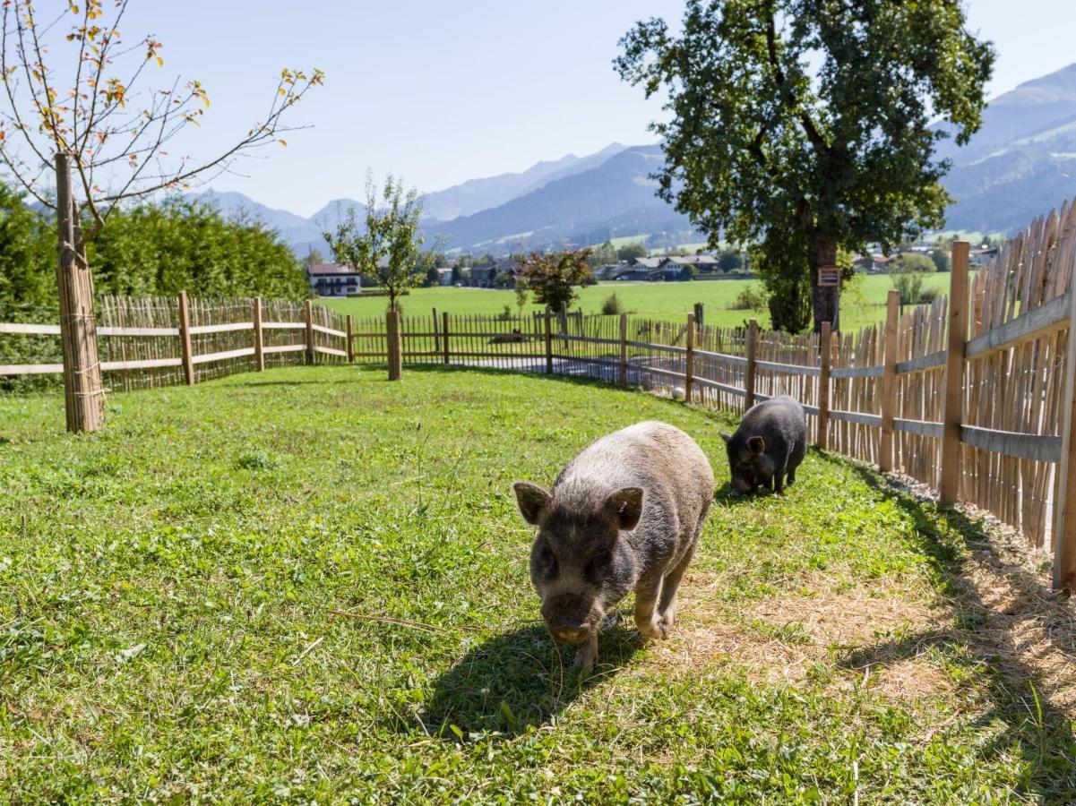 Narzenhof Wellness Chalets, Familien & Luxus Apartments Am Bauernhof Sankt Johann in Tirol Bagian luar foto