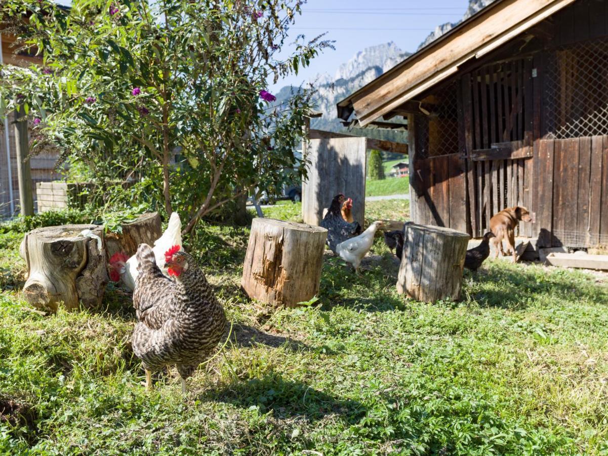Narzenhof Wellness Chalets, Familien & Luxus Apartments Am Bauernhof Sankt Johann in Tirol Bagian luar foto