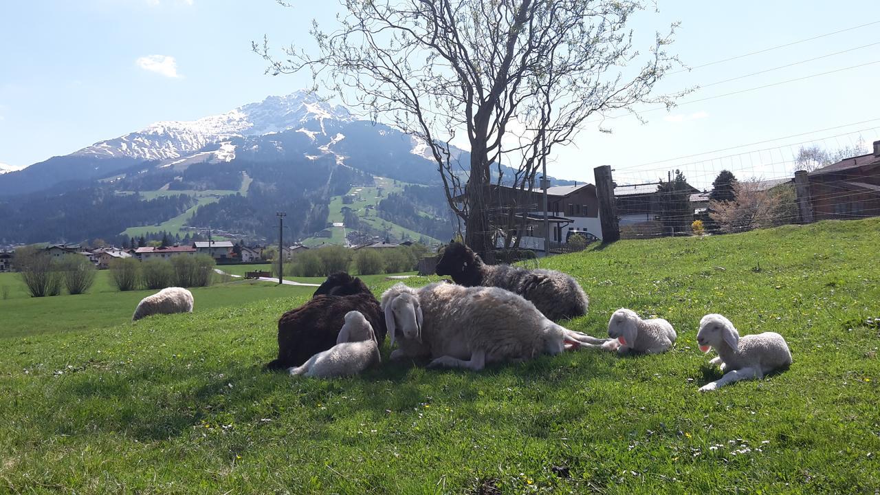 Narzenhof Wellness Chalets, Familien & Luxus Apartments Am Bauernhof Sankt Johann in Tirol Bagian luar foto